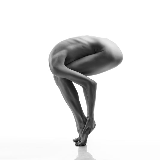 The Ostrich