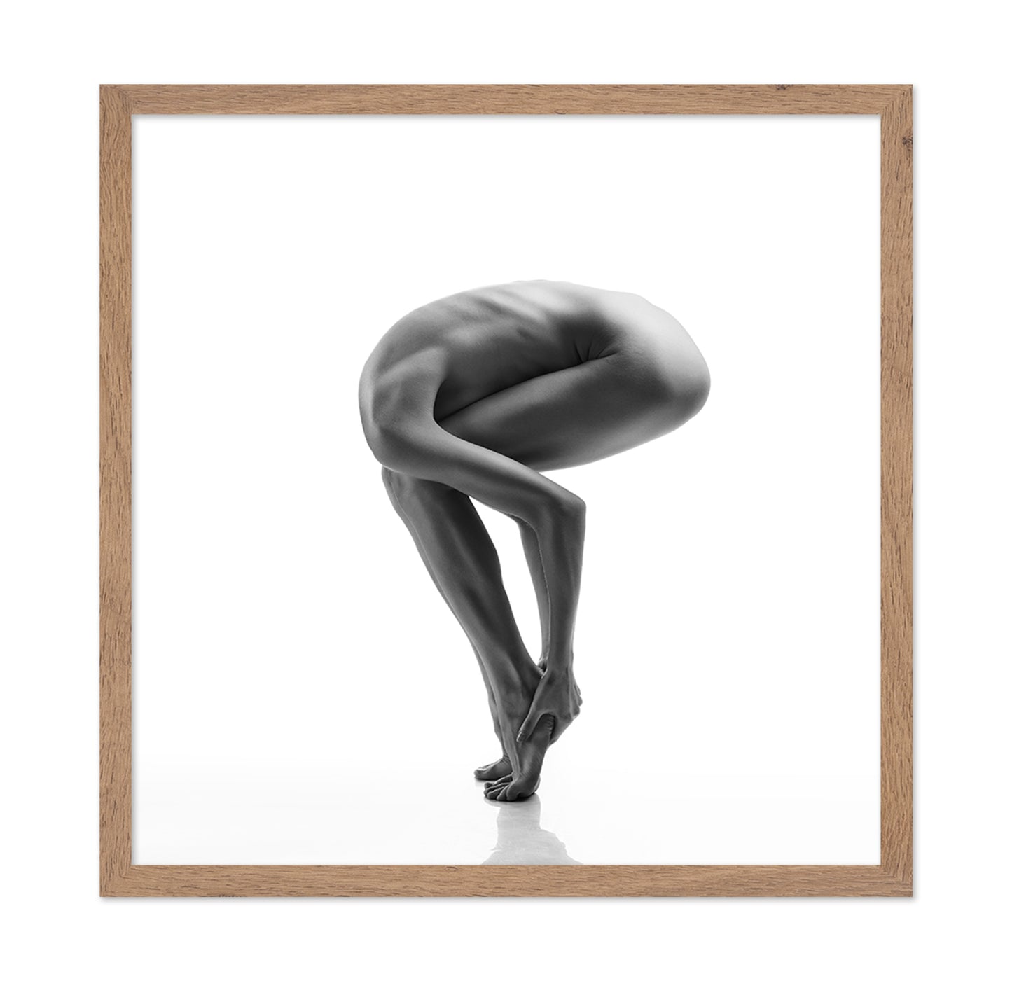 The Ostrich
