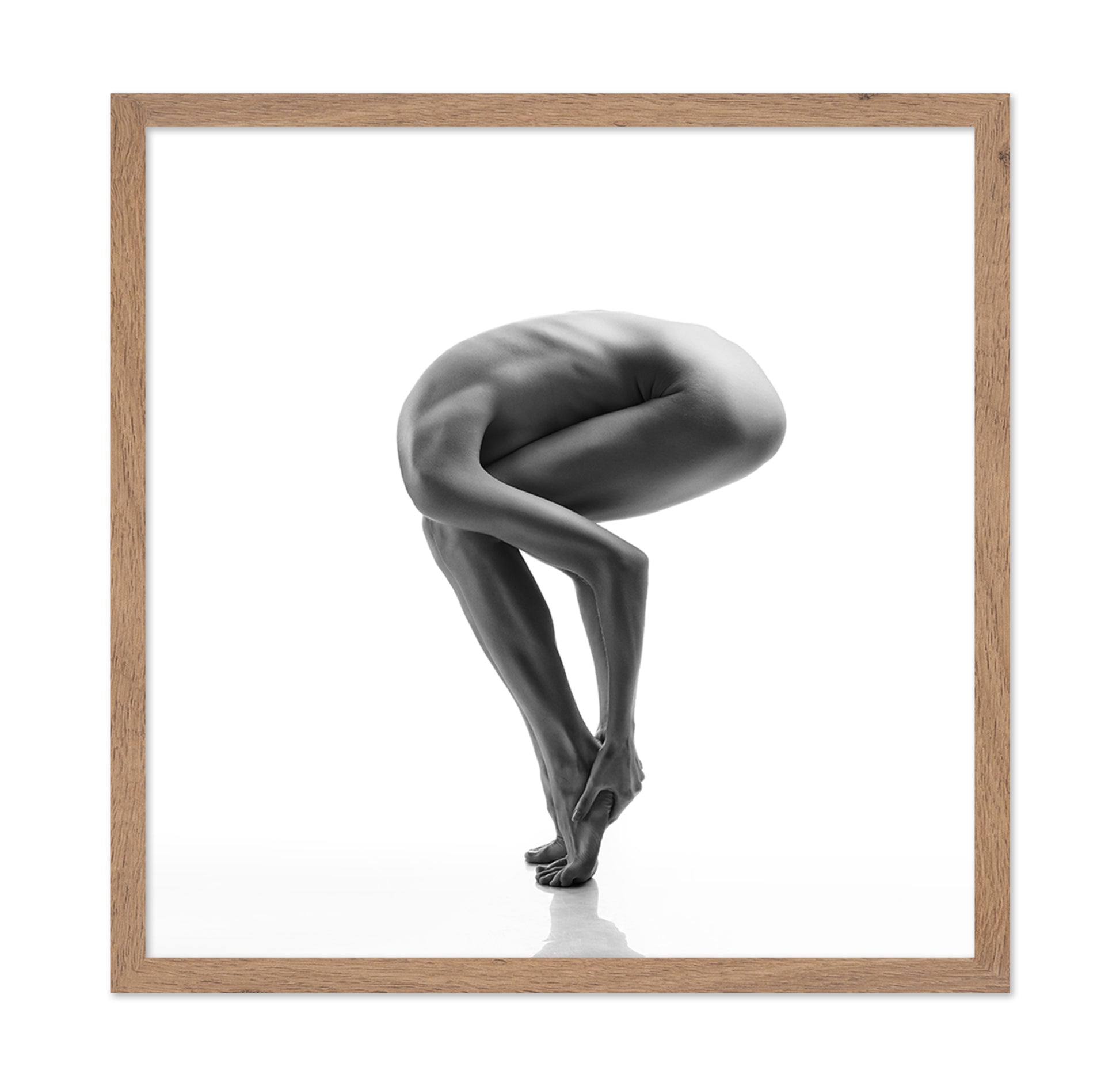The Ostrich