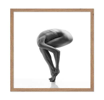 The Ostrich