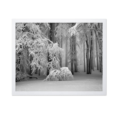 Perfect Winter