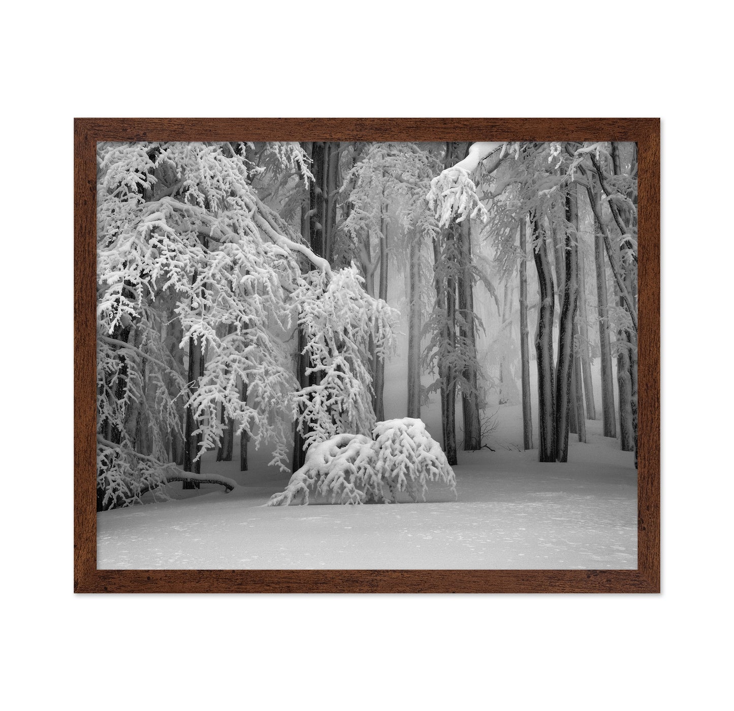 Perfect Winter