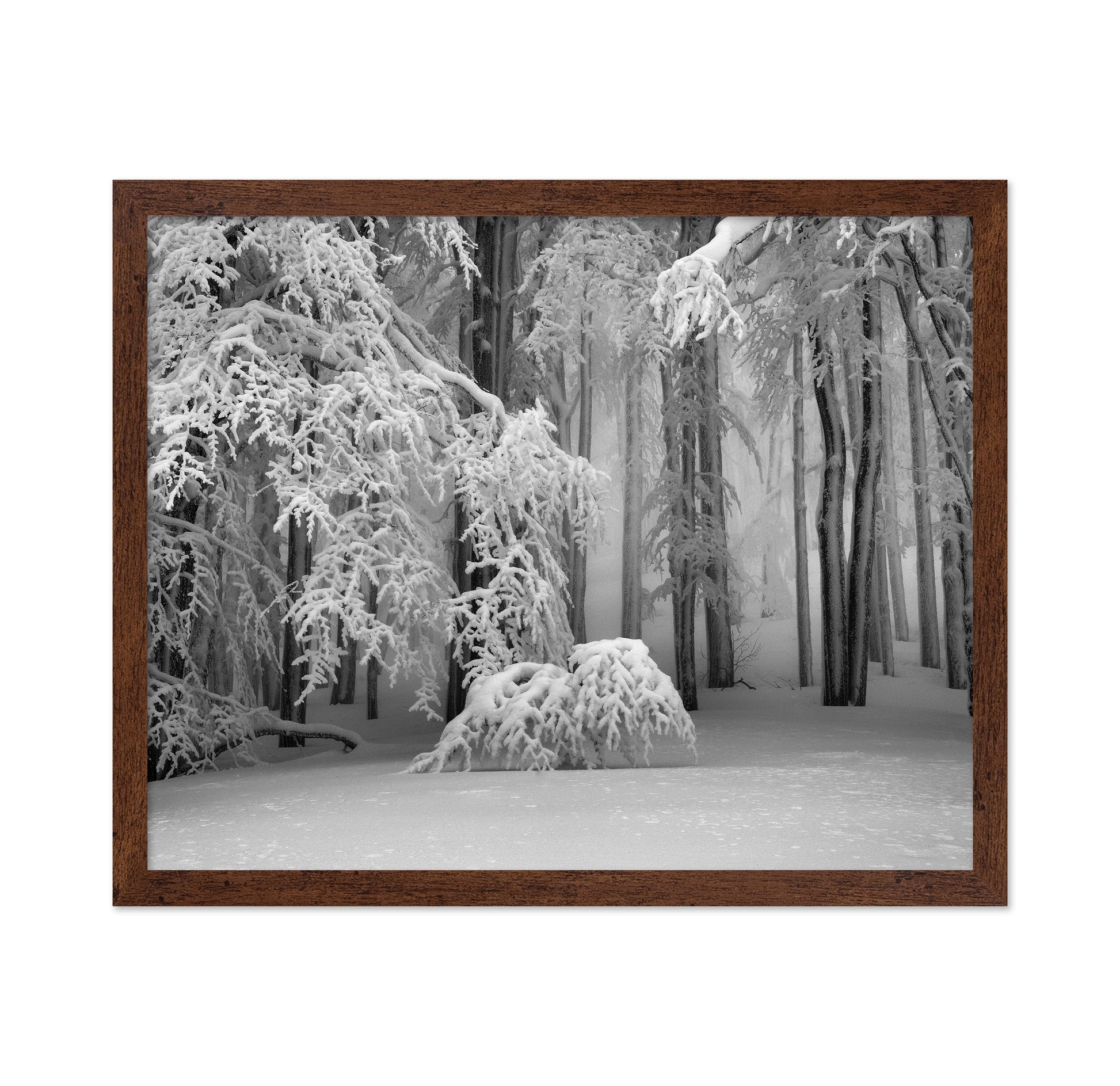 Perfect Winter