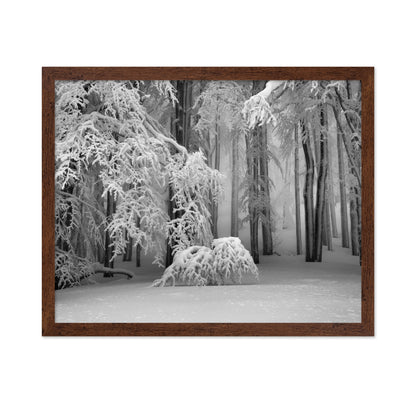 Perfect Winter