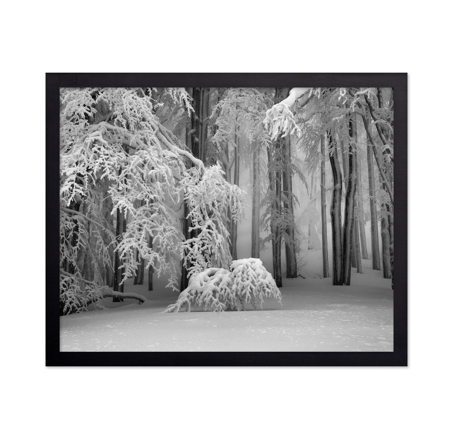Perfect Winter