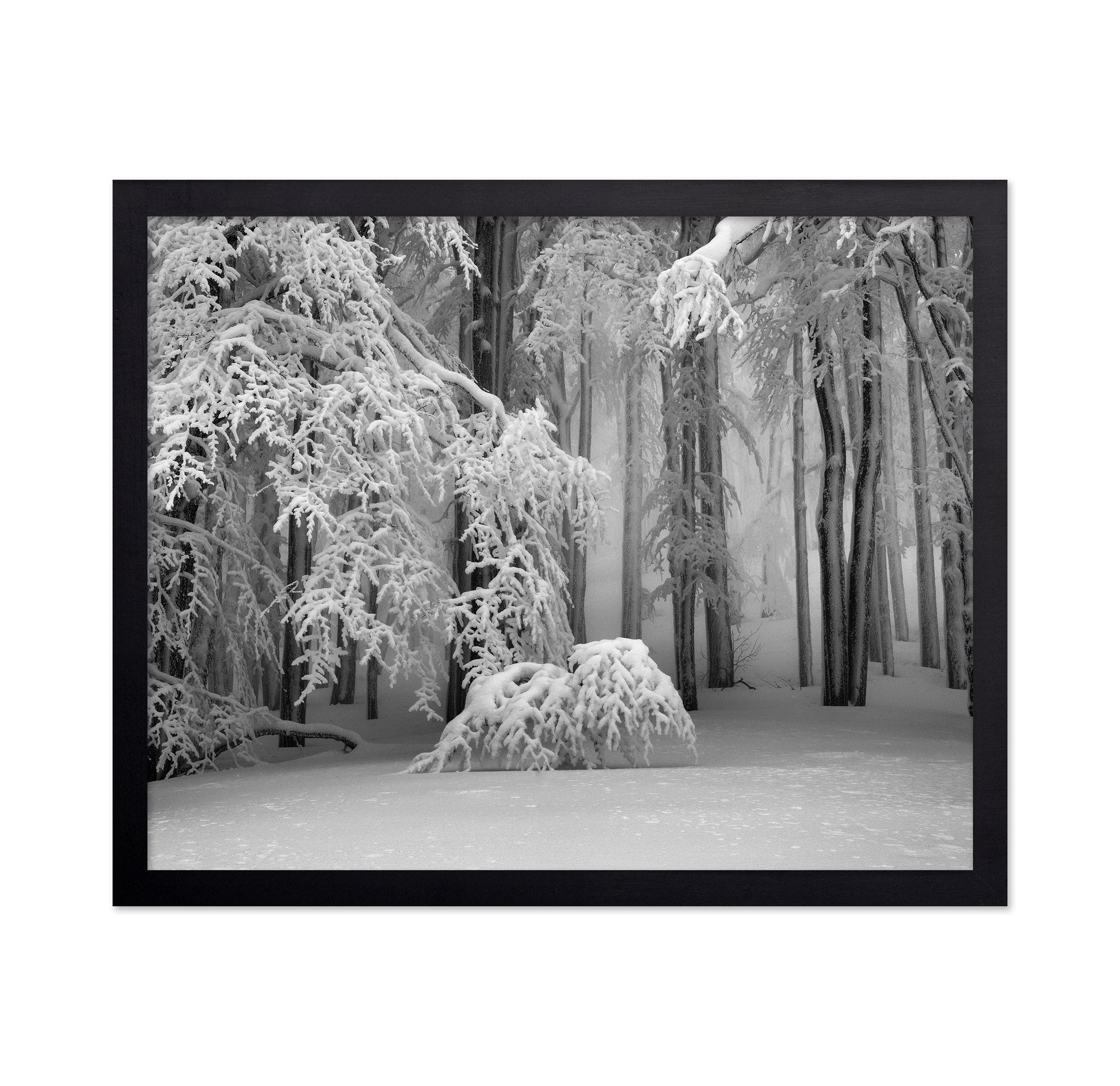 Perfect Winter