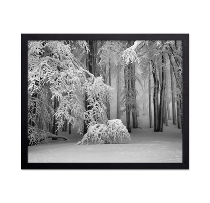 Perfect Winter
