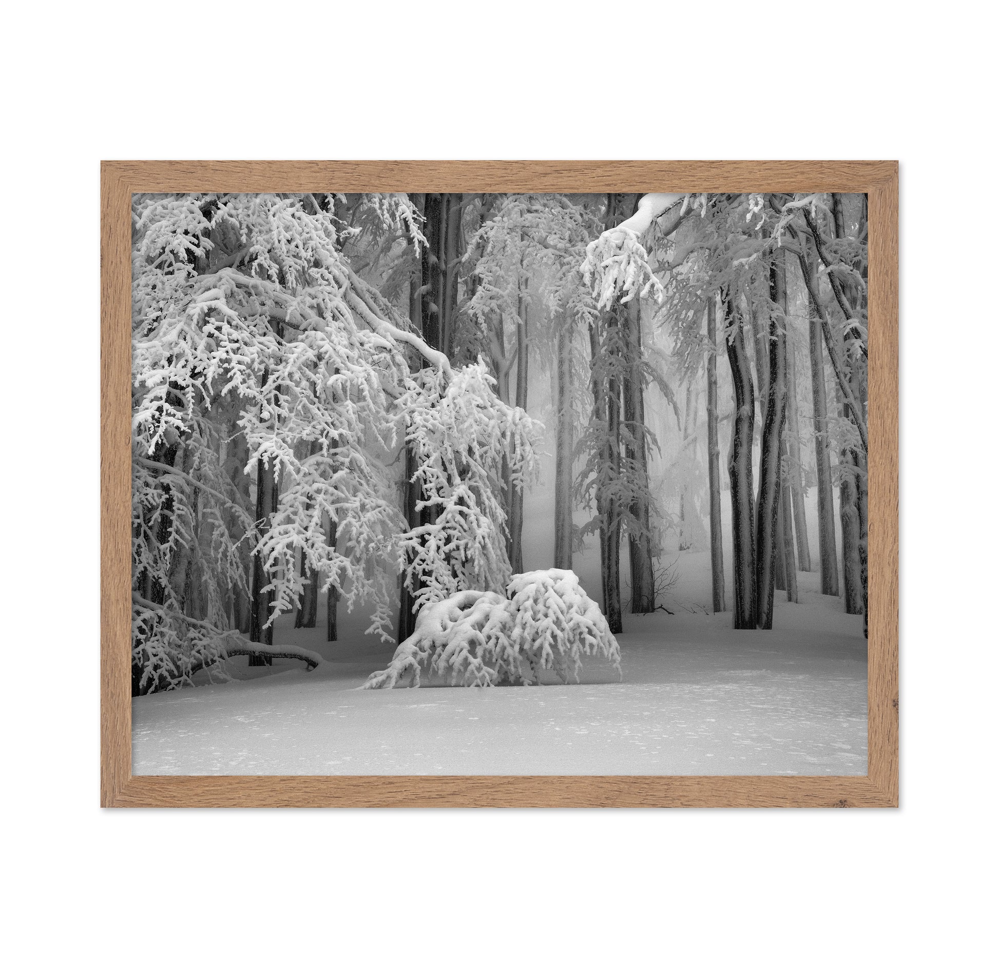 Perfect Winter