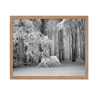 Perfect Winter