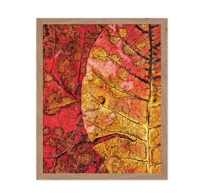 Dying Leaf