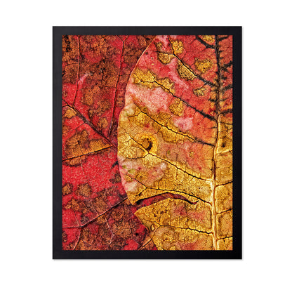 Dying Leaf