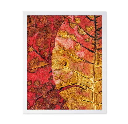 Dying Leaf