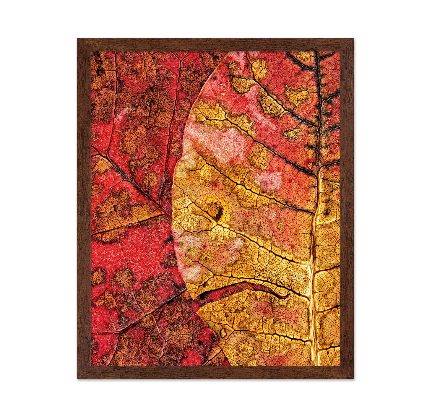 Dying Leaf