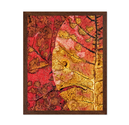 Dying Leaf