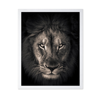 Lion in Dark