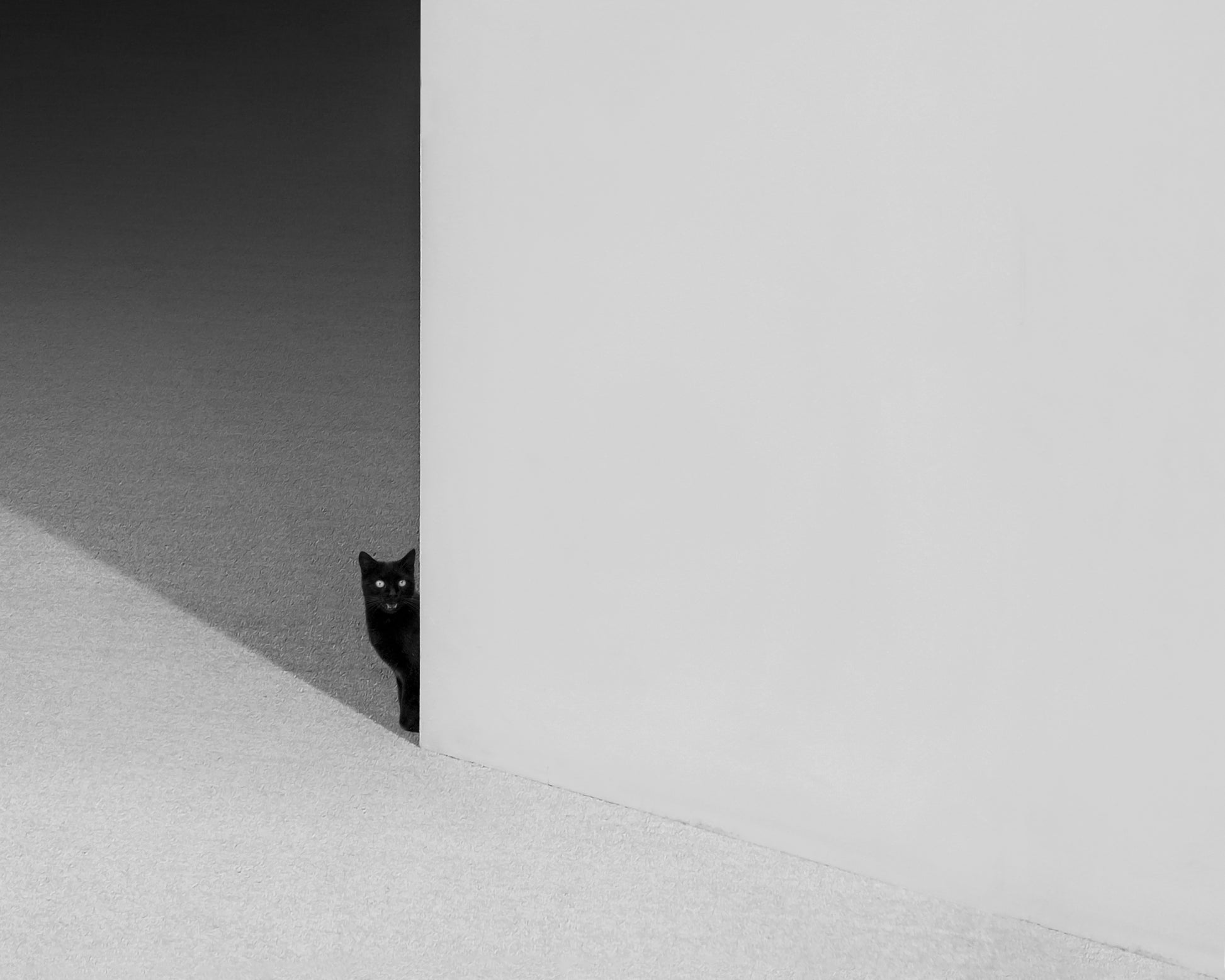 Black Cat No 2