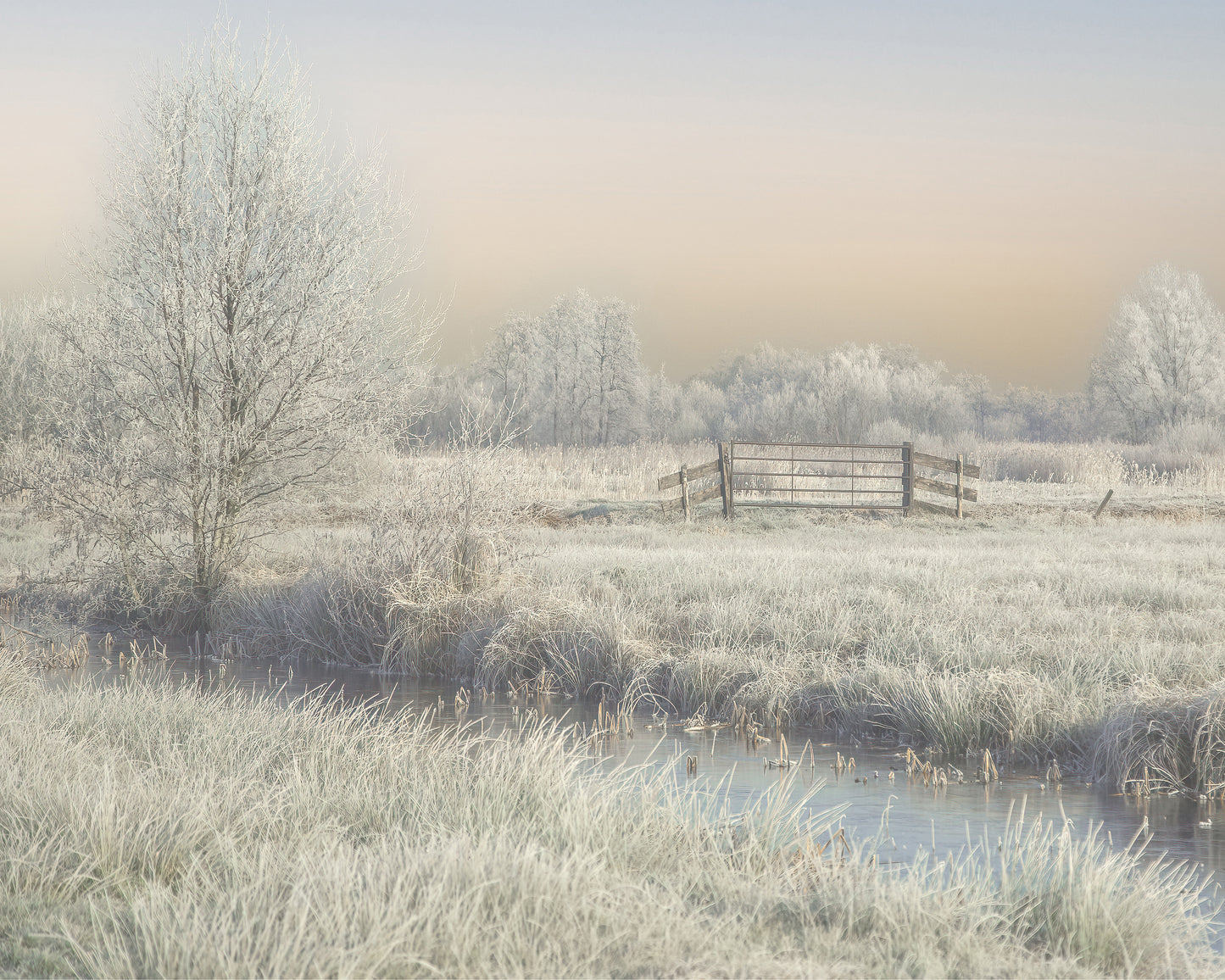 Winter in the Wieden