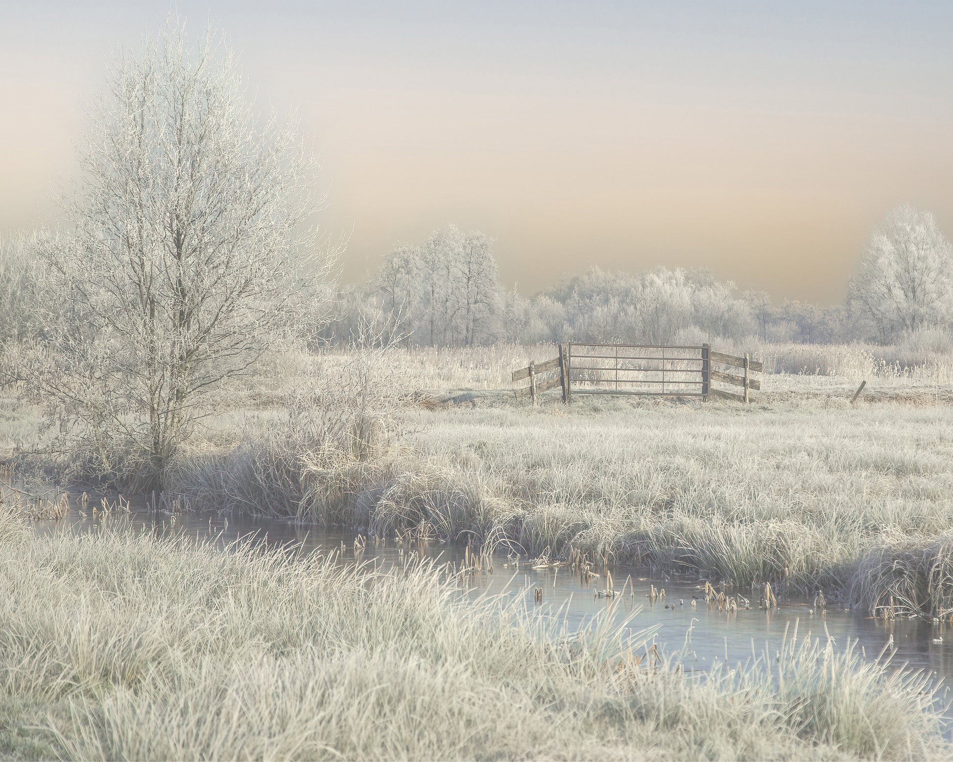 Winter in the Wieden