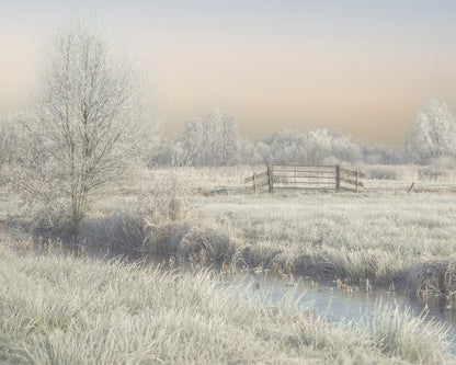 Winter in the Wieden