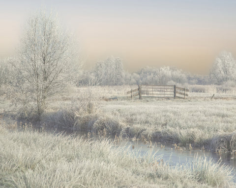 Winter in the Wieden
