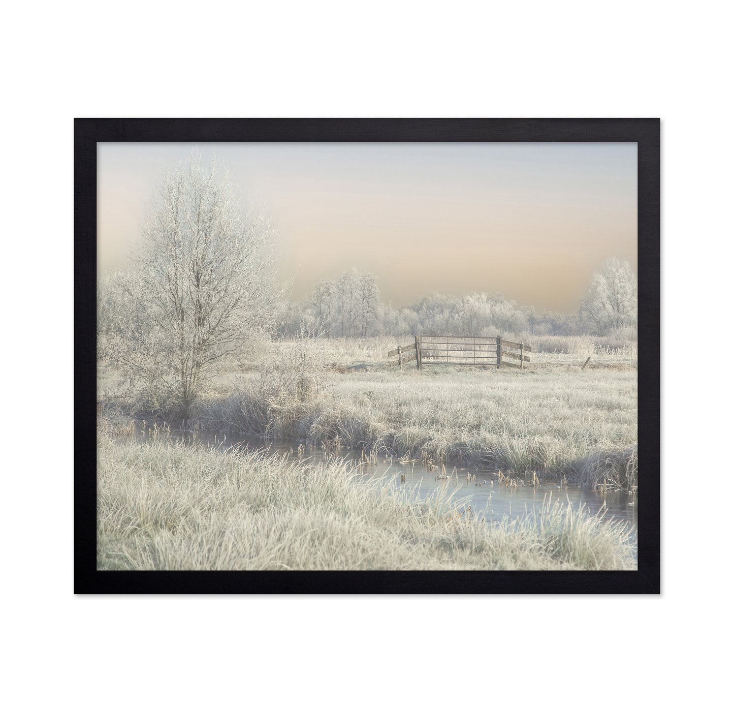 Winter in the Wieden