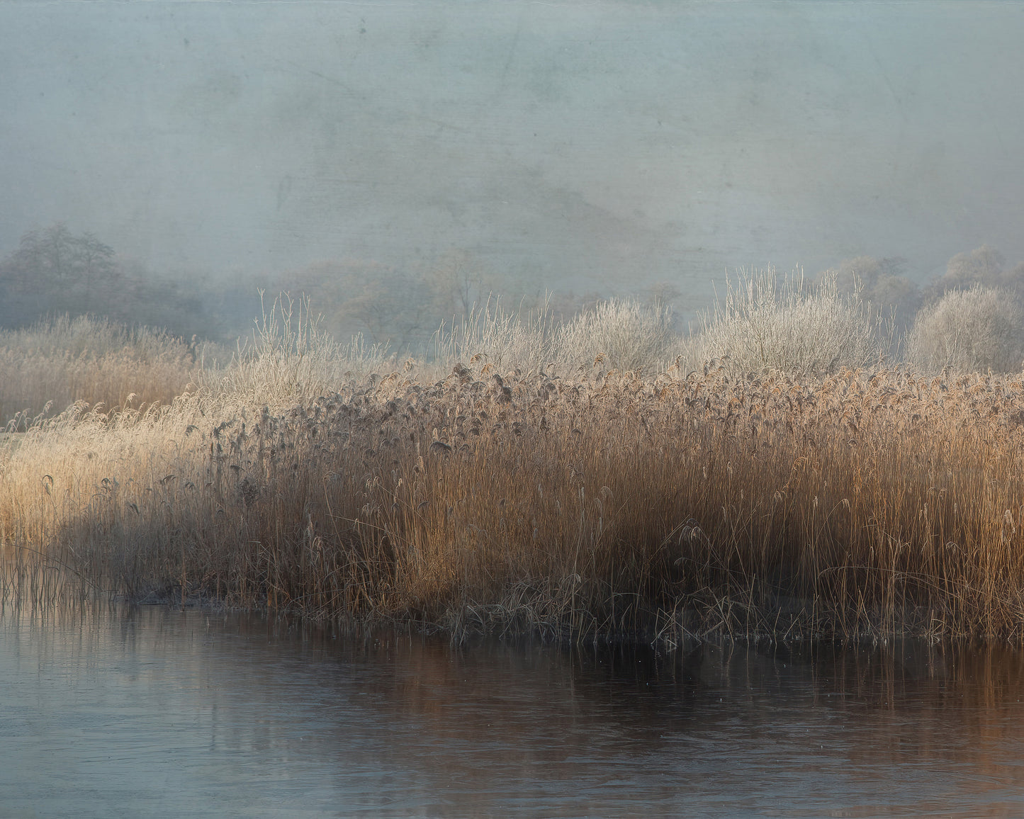 Winter in Holland