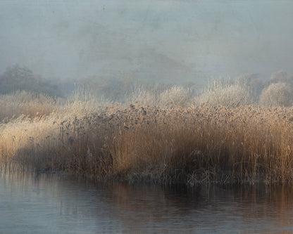 Winter in Holland