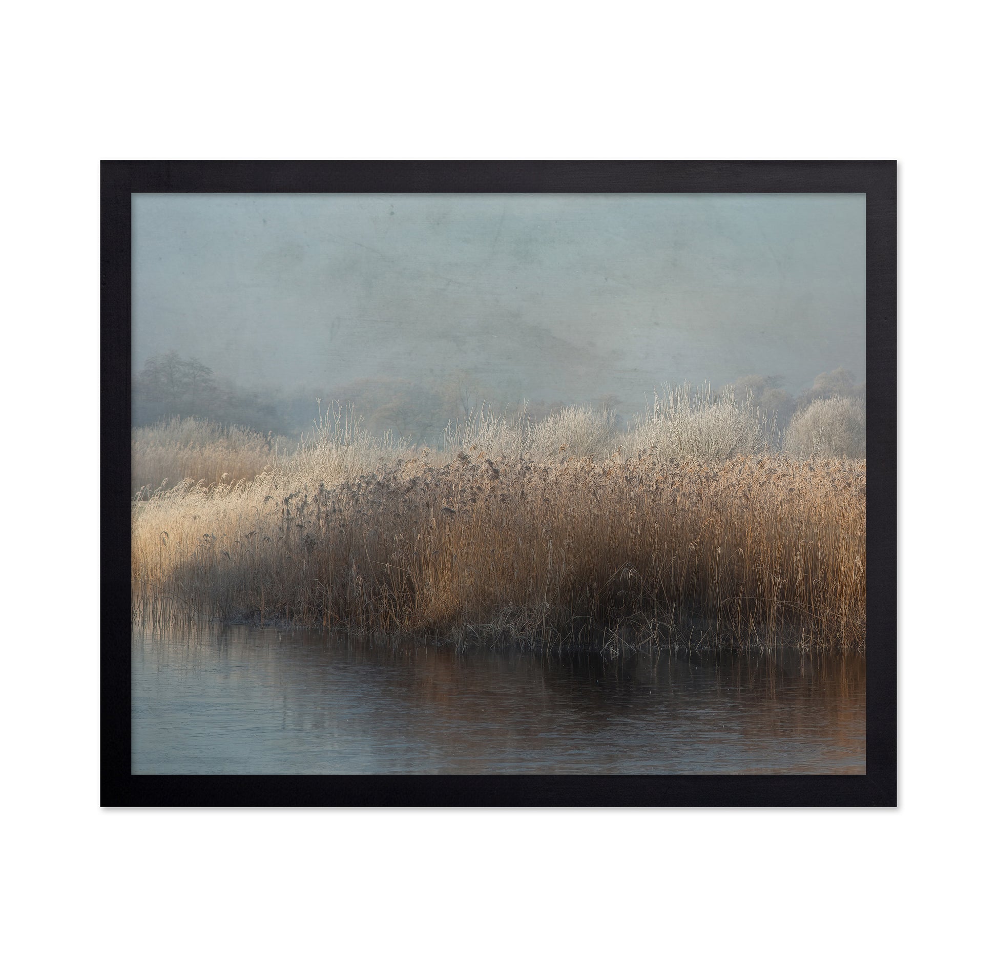 Winter in Holland