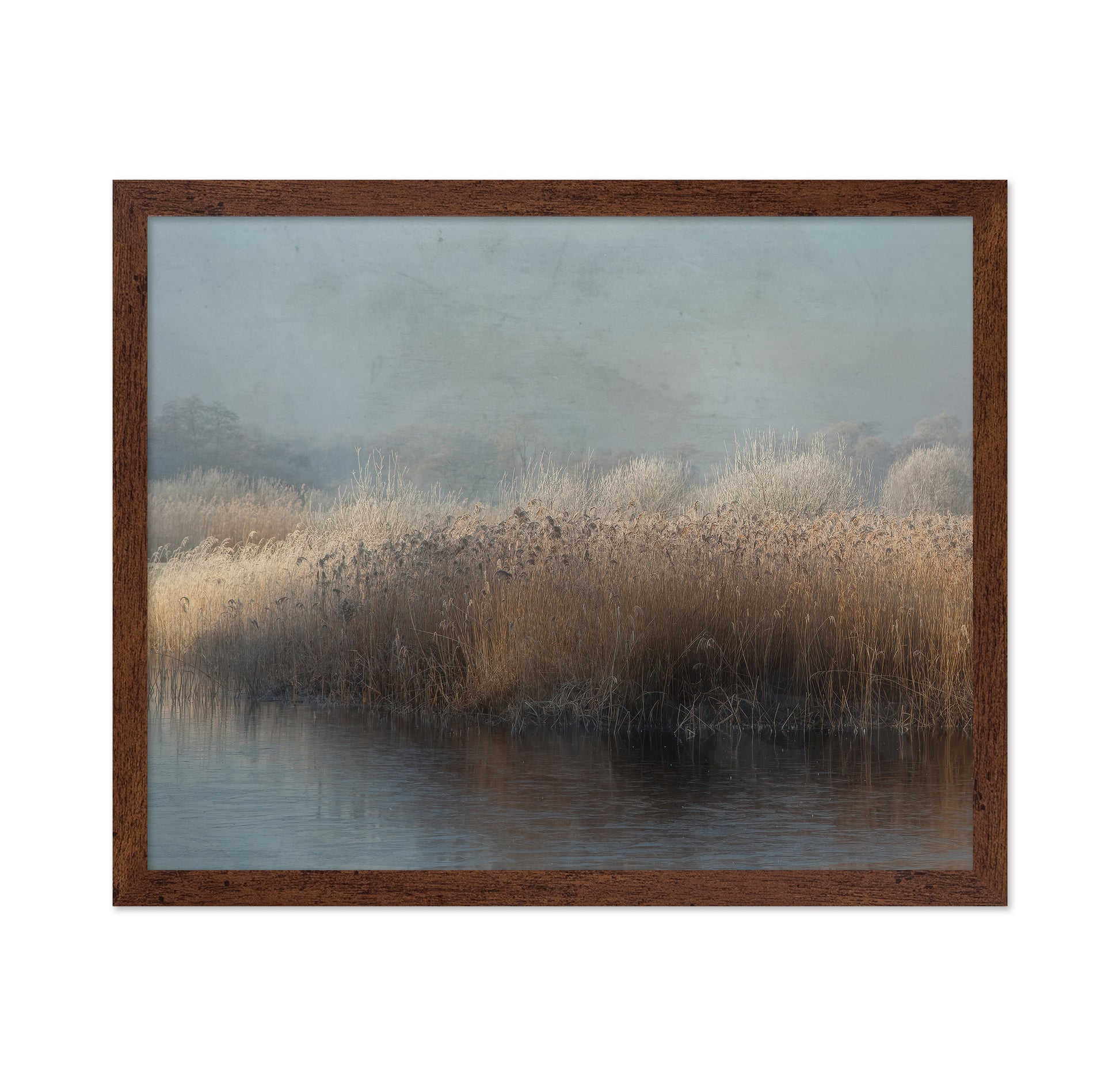 Winter in Holland