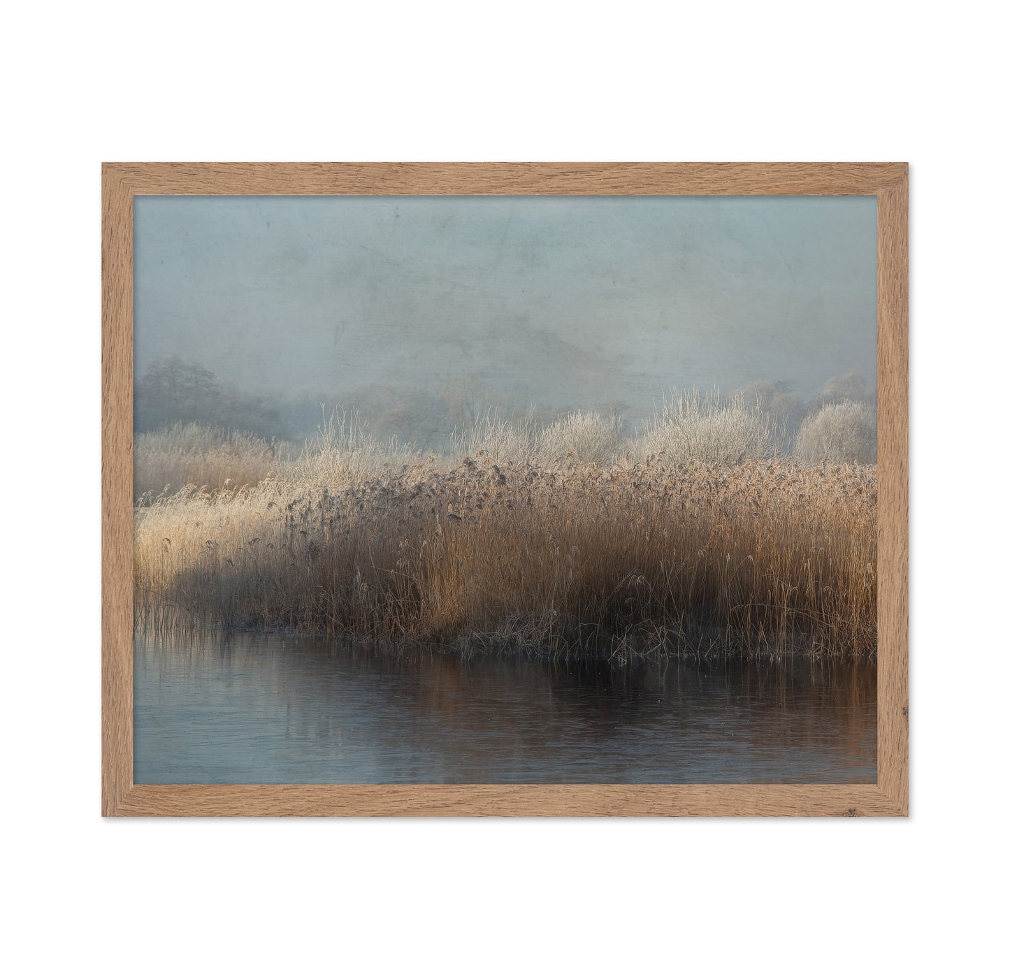 Winter in Holland
