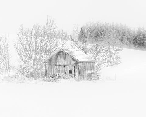 In a Misty Snowworld
