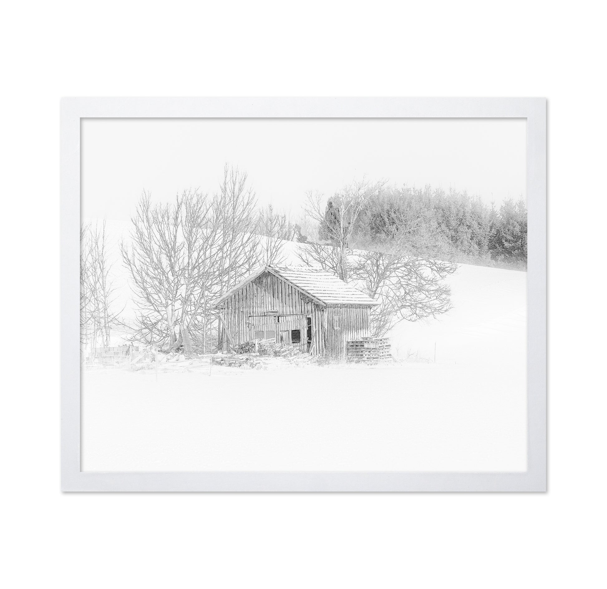 In a Misty Snowworld