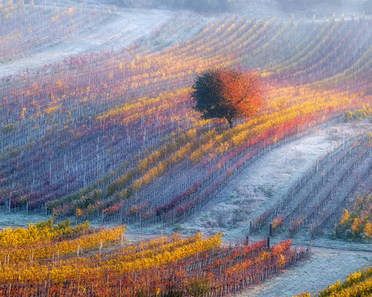 Breath of Winter