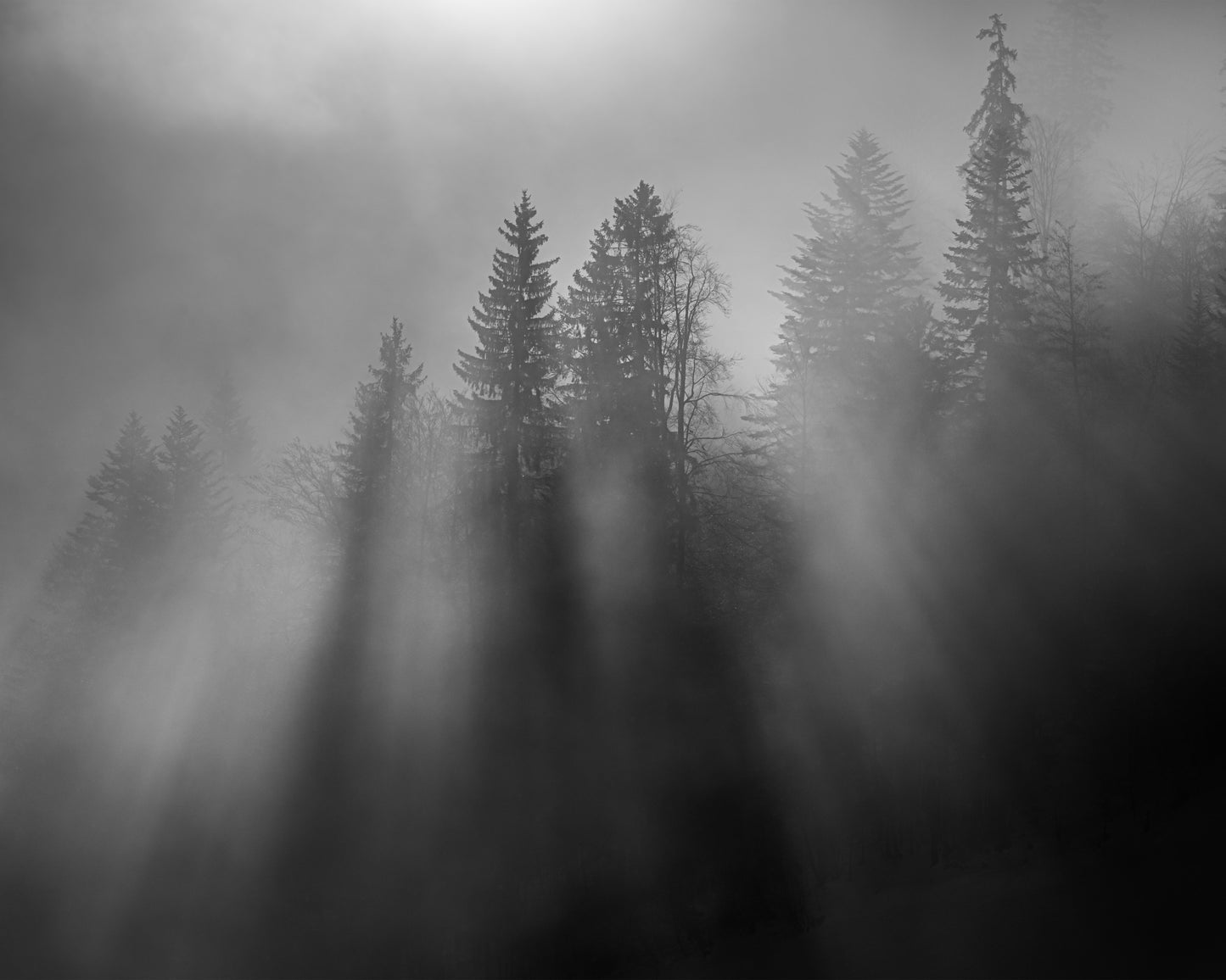 Wintersun