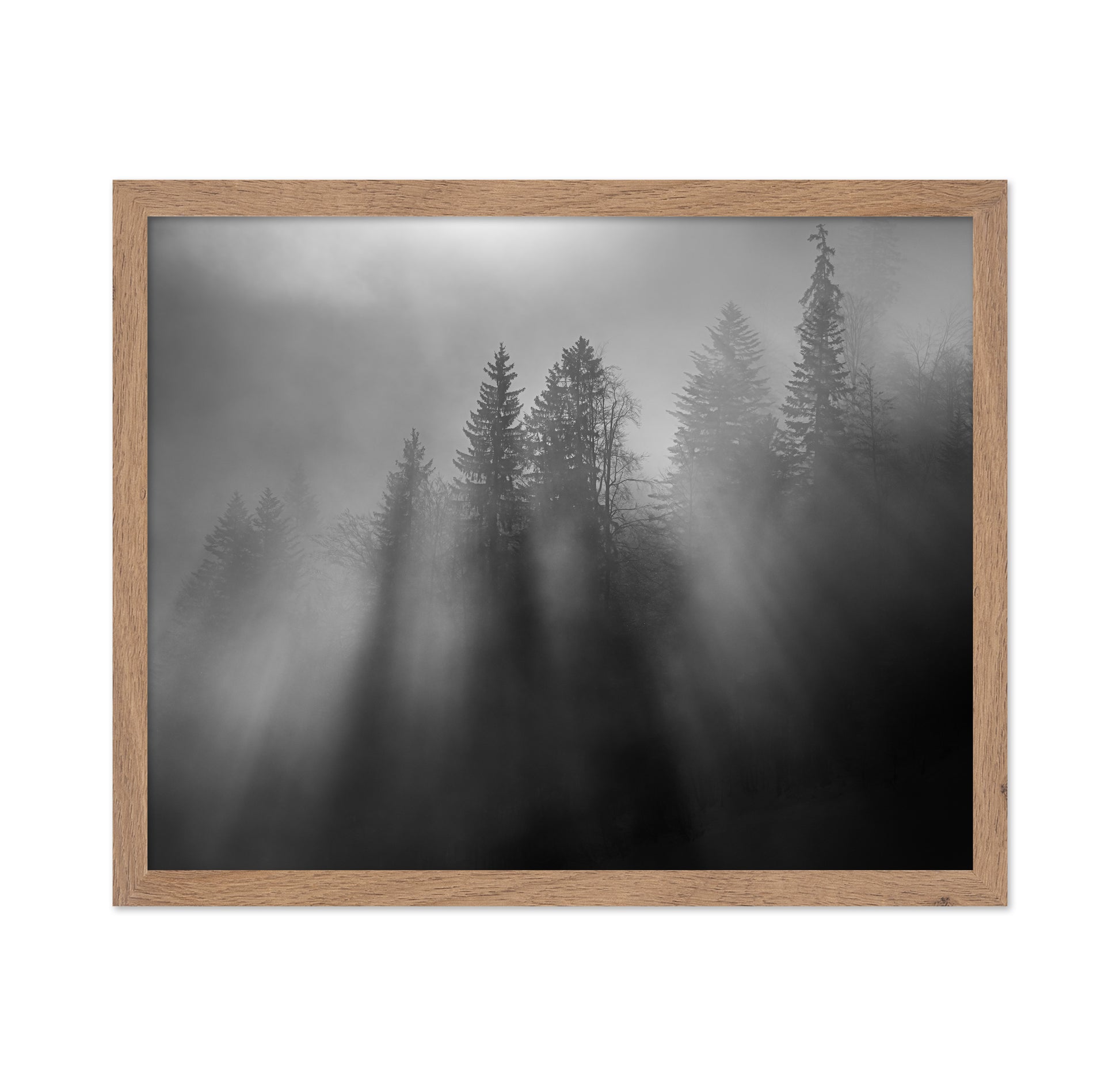 Wintersun