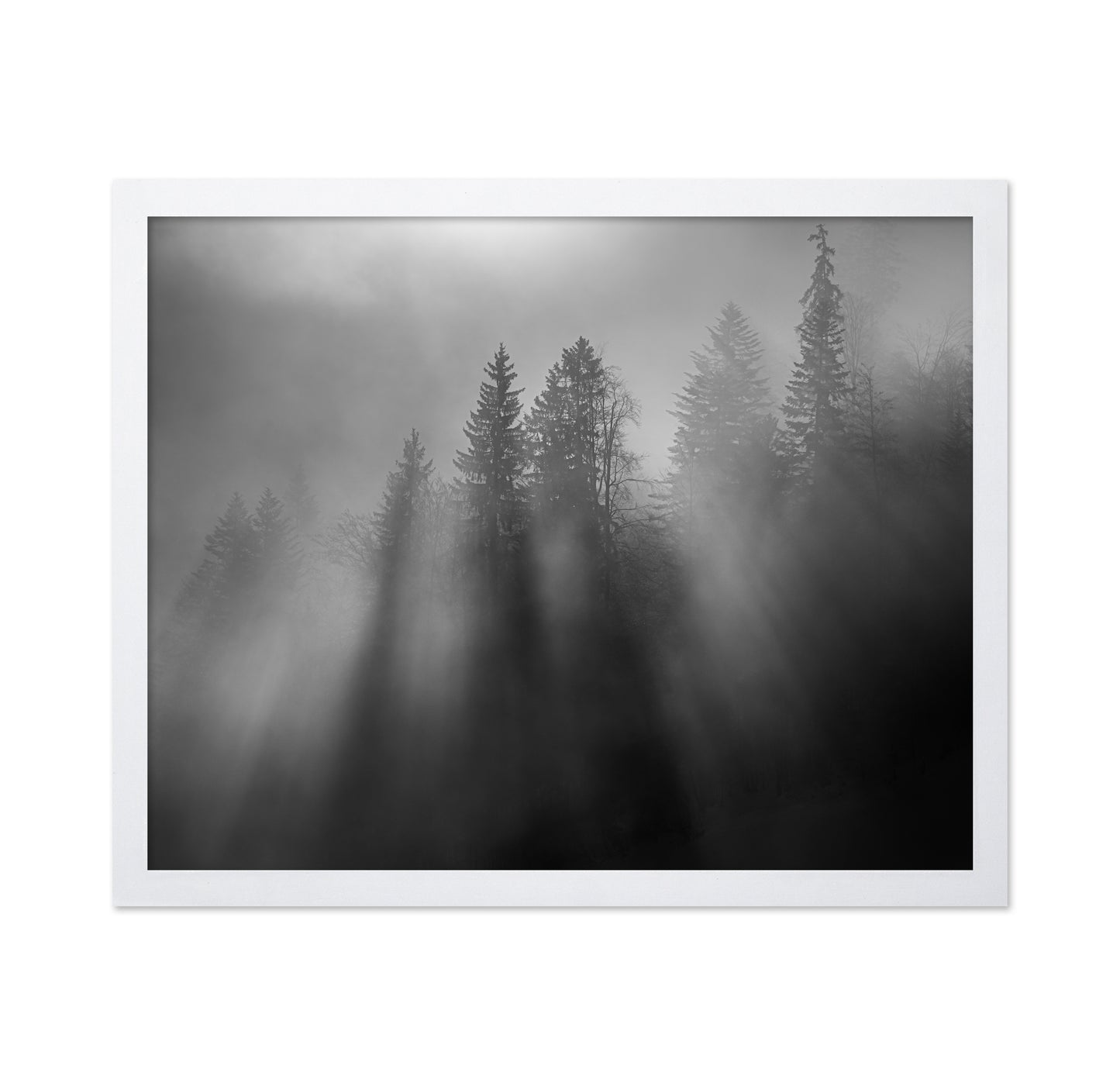 Wintersun