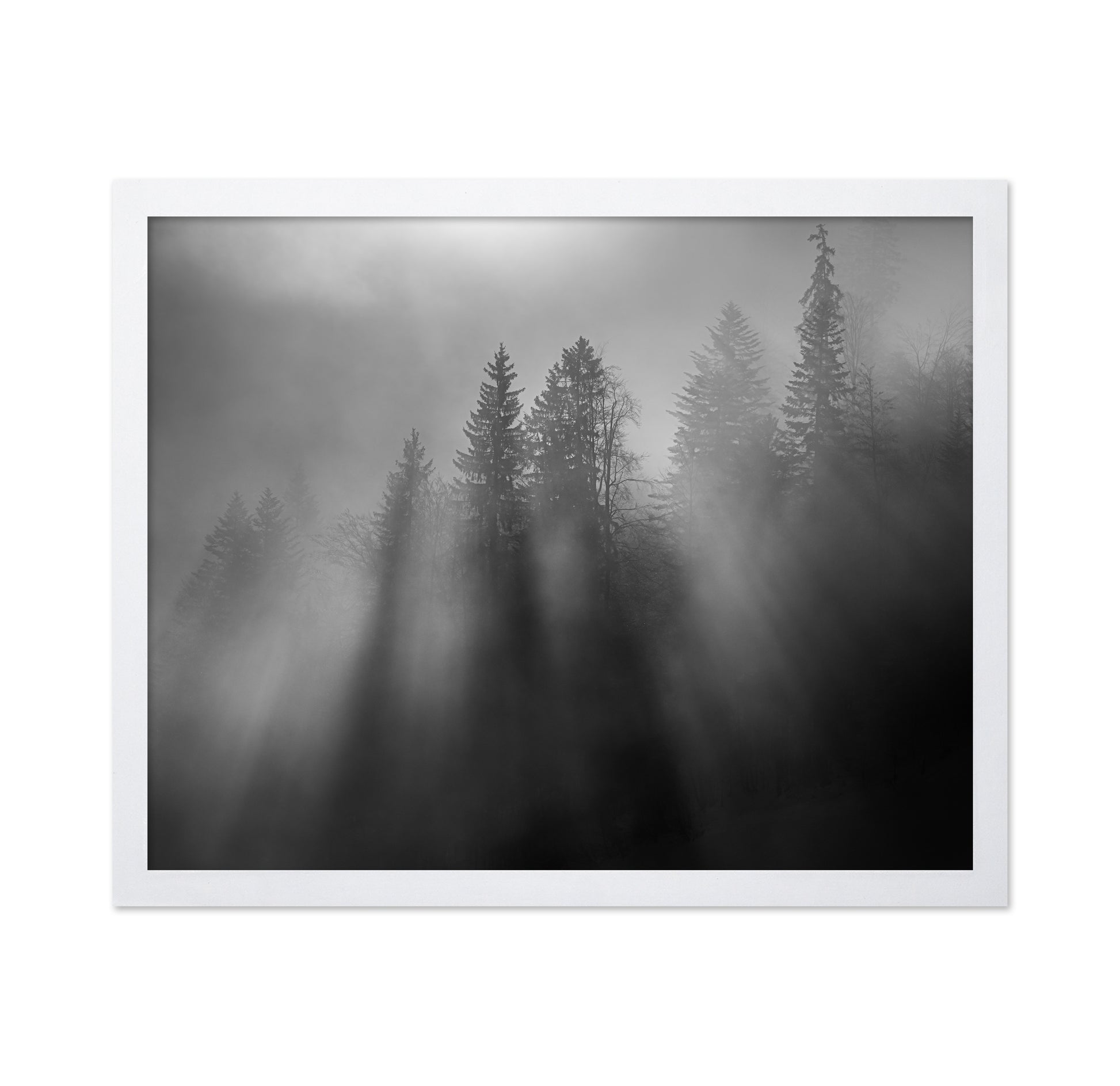 Wintersun