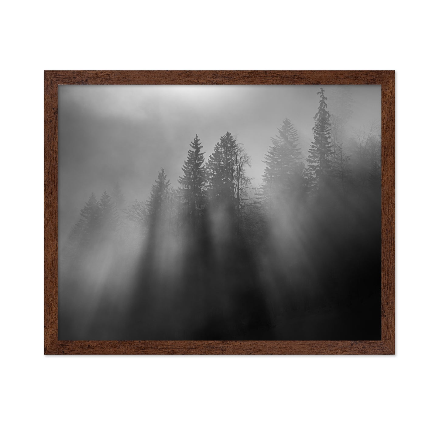 Wintersun