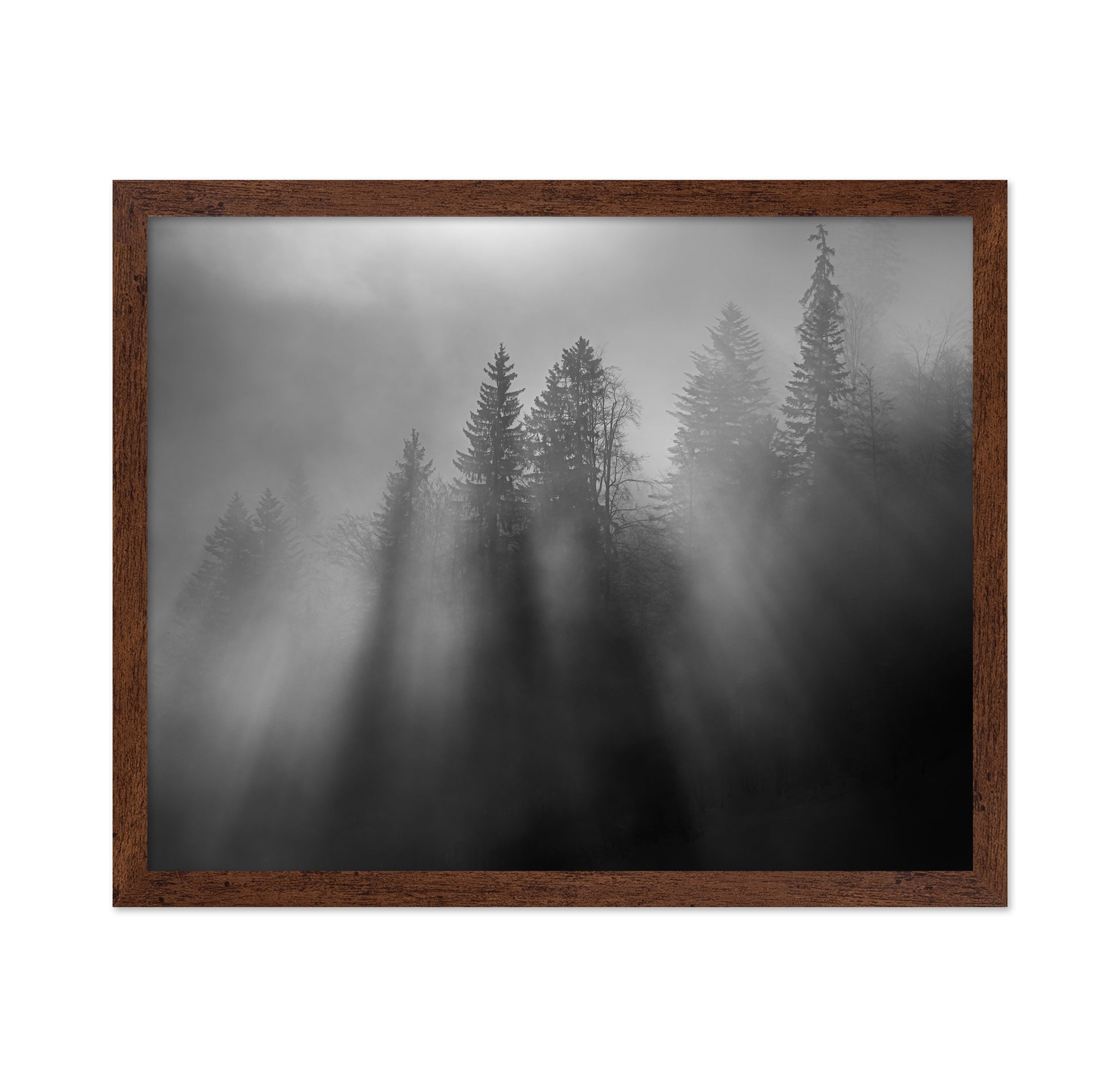 Wintersun