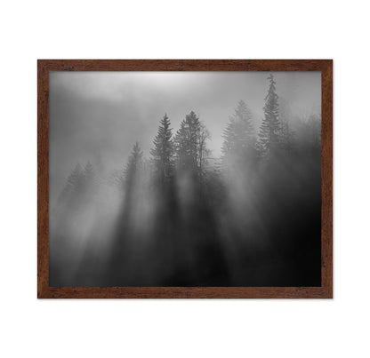 Wintersun