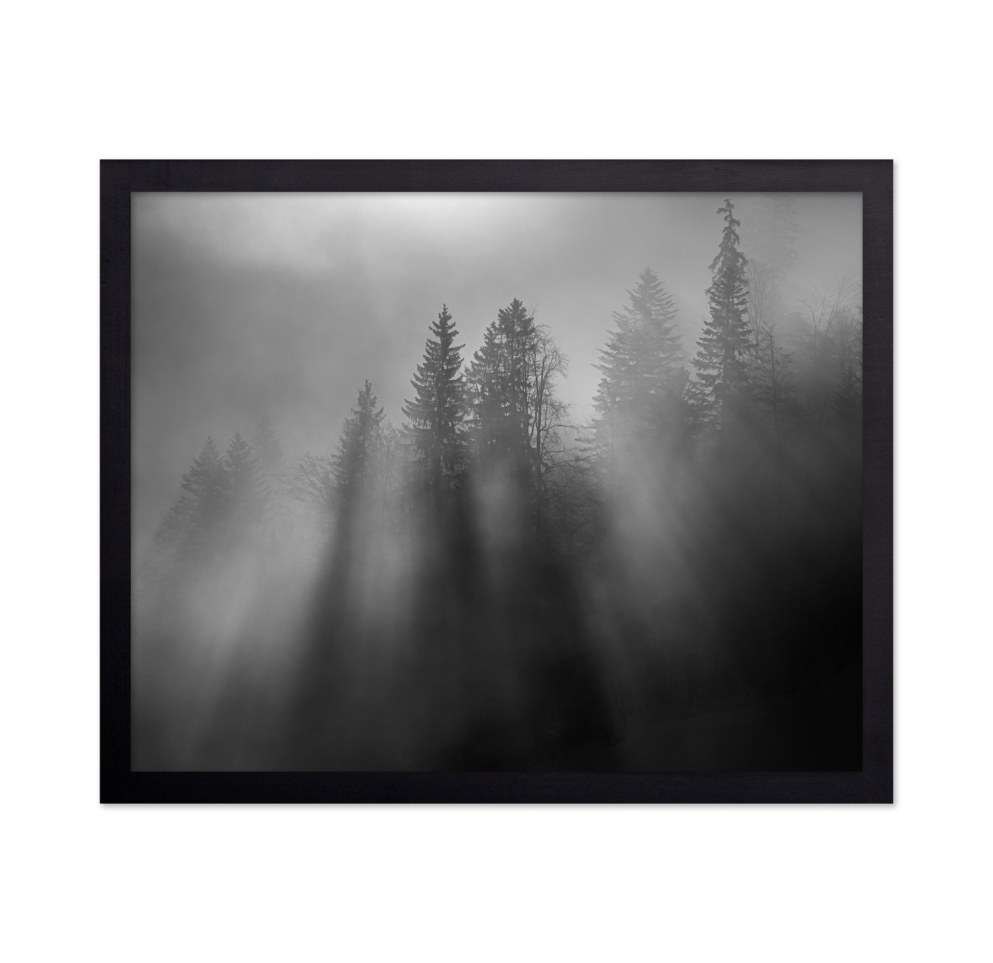 Wintersun
