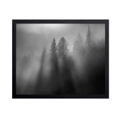 Wintersun
