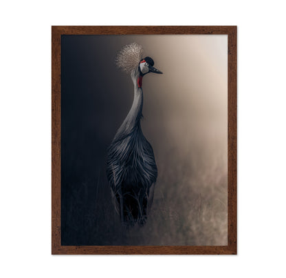 Grey Crowned Crane