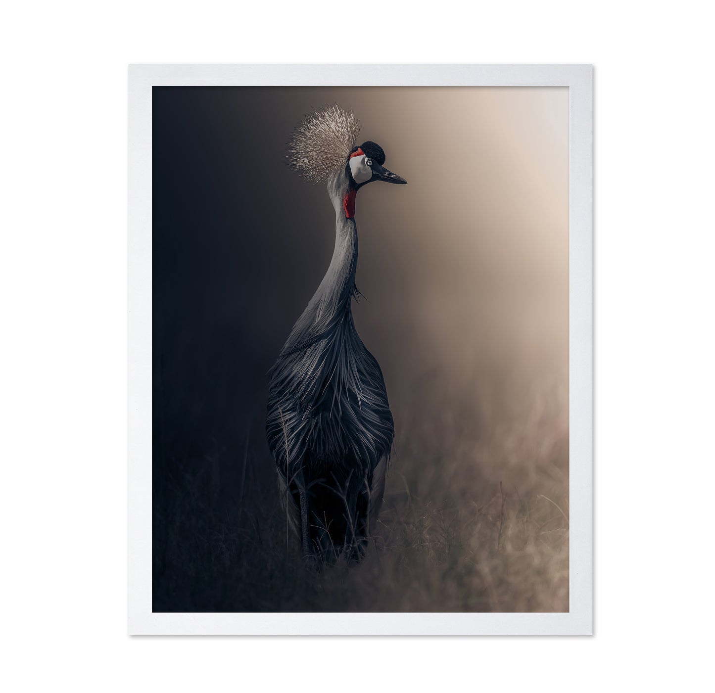 Grey Crowned Crane