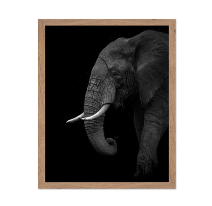 Largest Land Animal on Earth