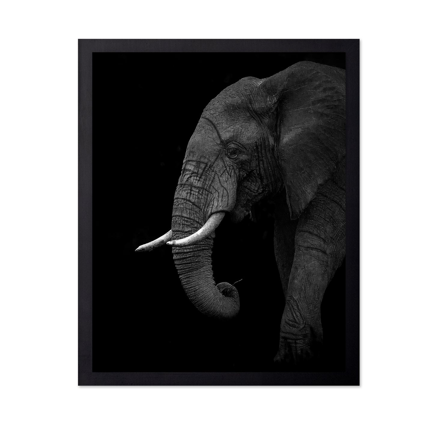Largest Land Animal on Earth