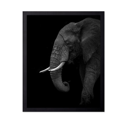 Largest Land Animal on Earth