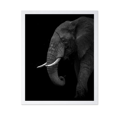 Largest Land Animal on Earth