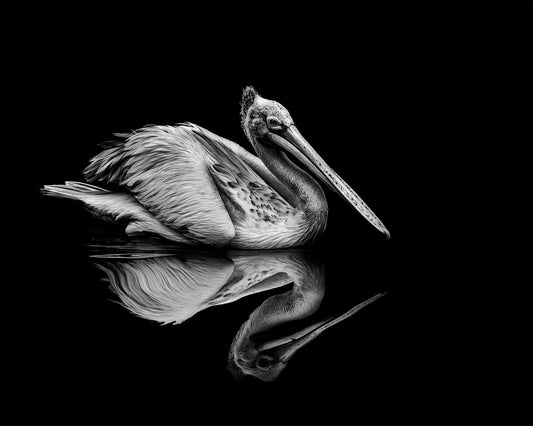 Reflection