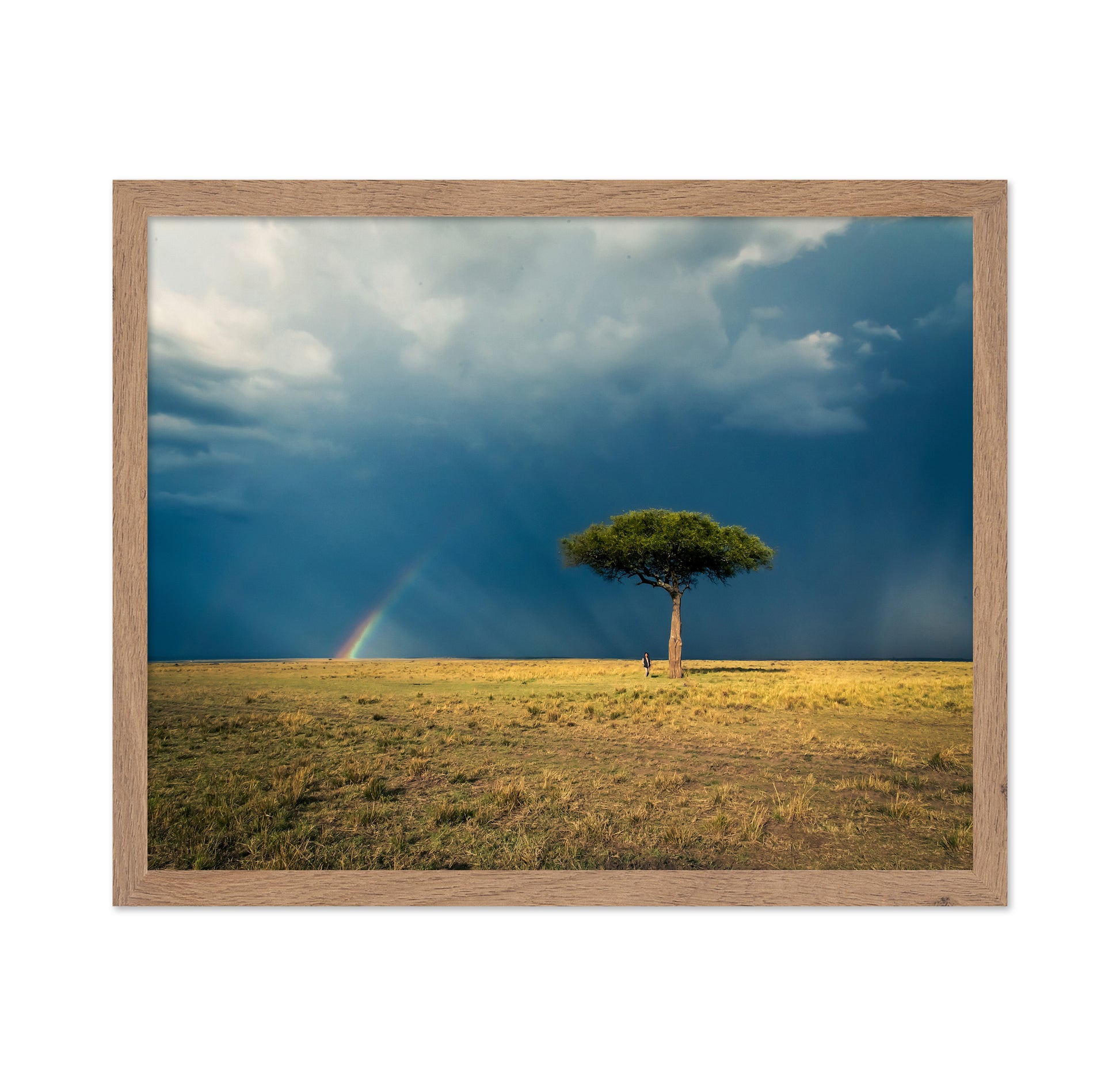 Ishara's Lone Tree